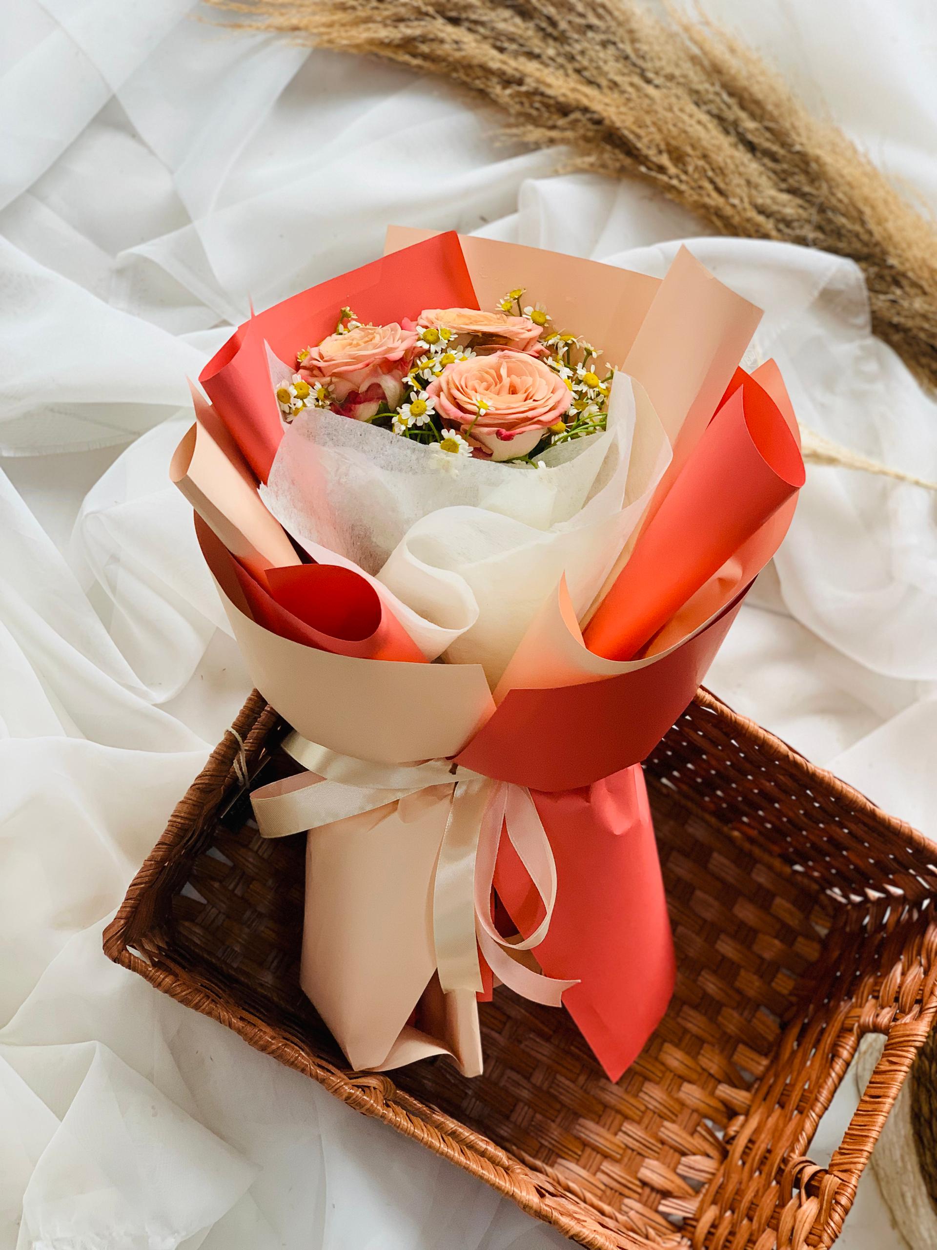 Cappuccino - Image 3