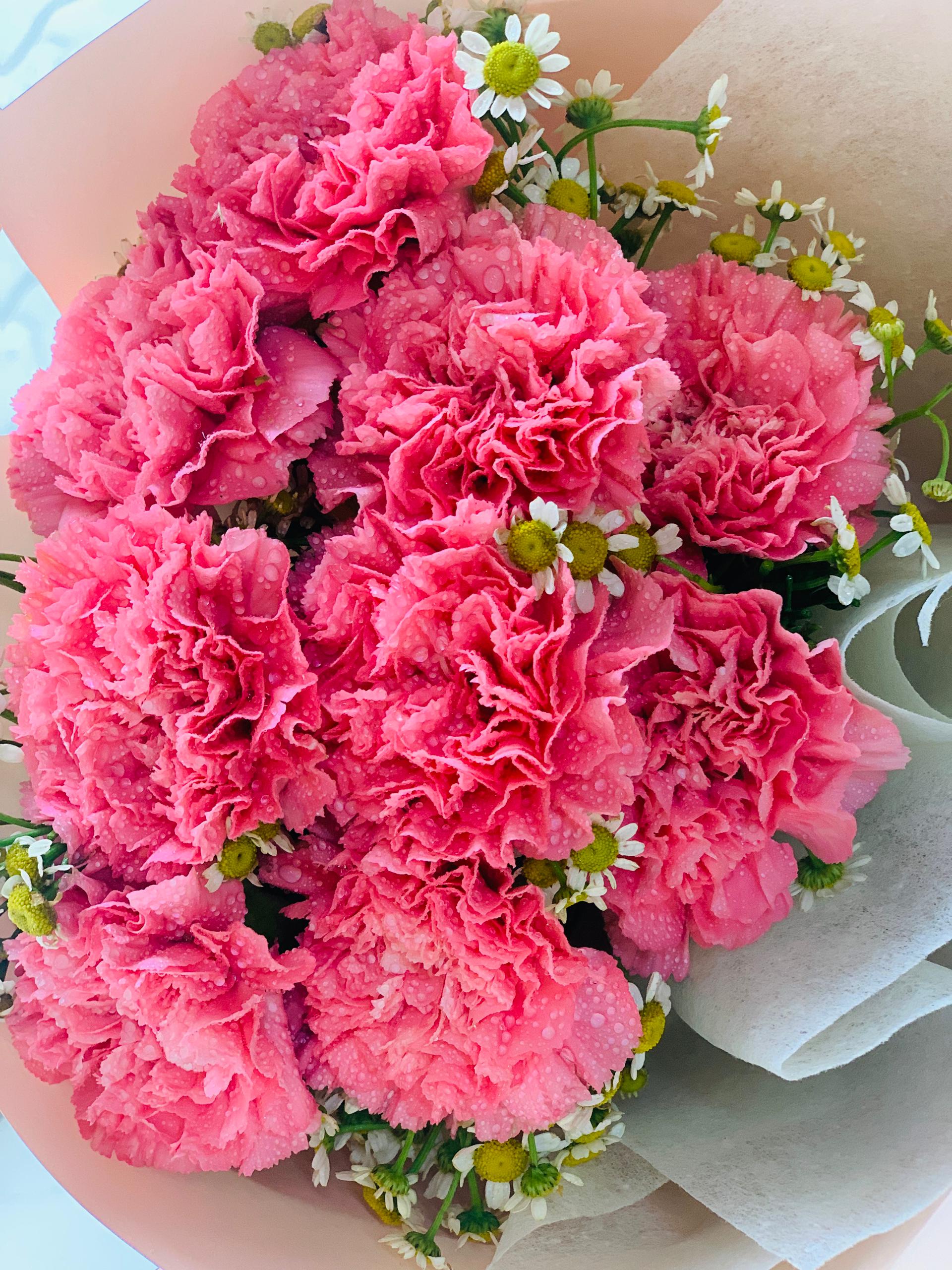 Chamomile Charm - Image 2