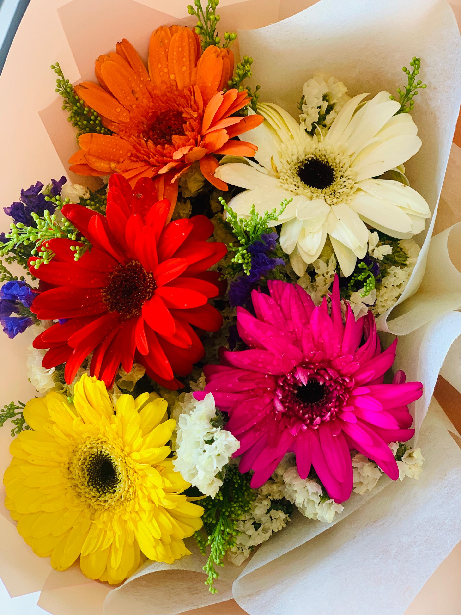 Radiant Cheer - Image 3