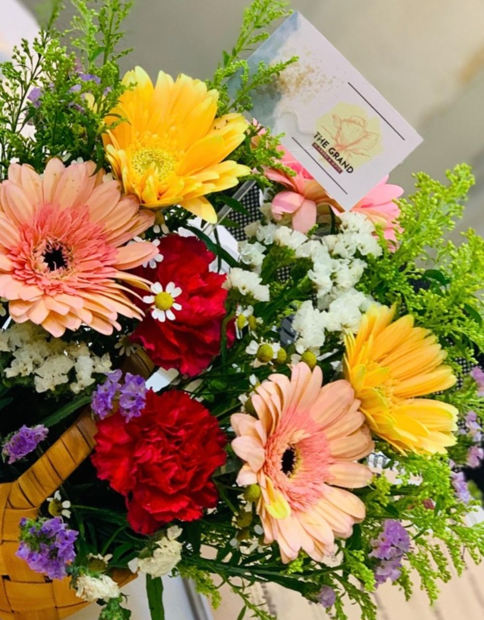 Blossom Cheer - Image 2